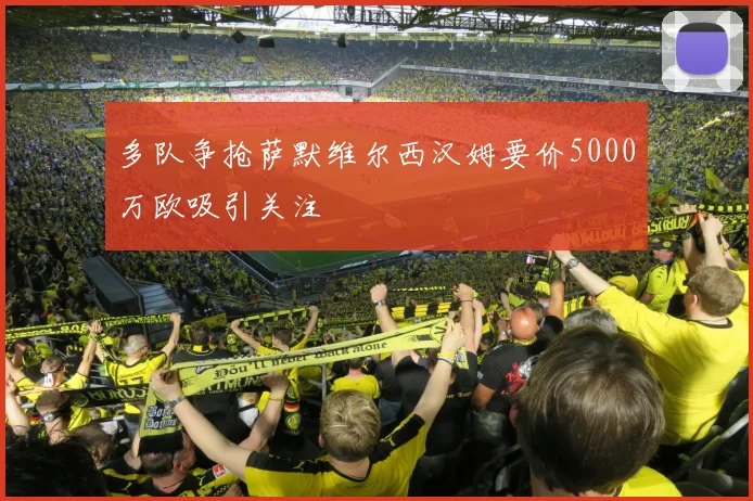 多队争抢萨默维尔西汉姆要价5000万欧吸引关注