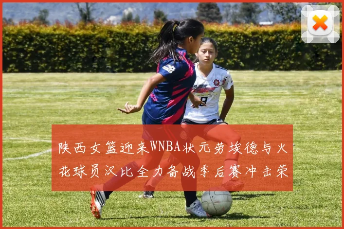 陕西女篮迎来WNBA状元劳埃德与火花球员汉比全力备战季后赛冲击荣耀